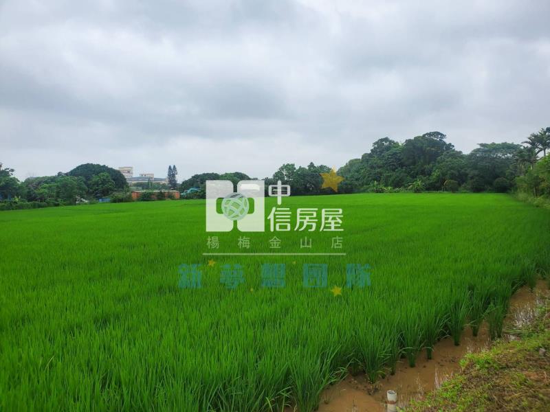 【新夢想】楊梅快速路5段一般農+資材室房屋室內格局與周邊環境