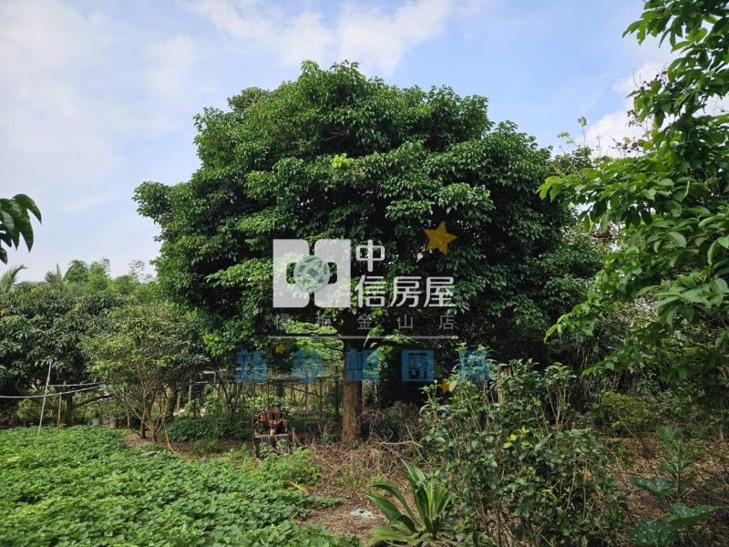 【新夢想】楊梅快速路5段一般農+資材室房屋室內格局與周邊環境