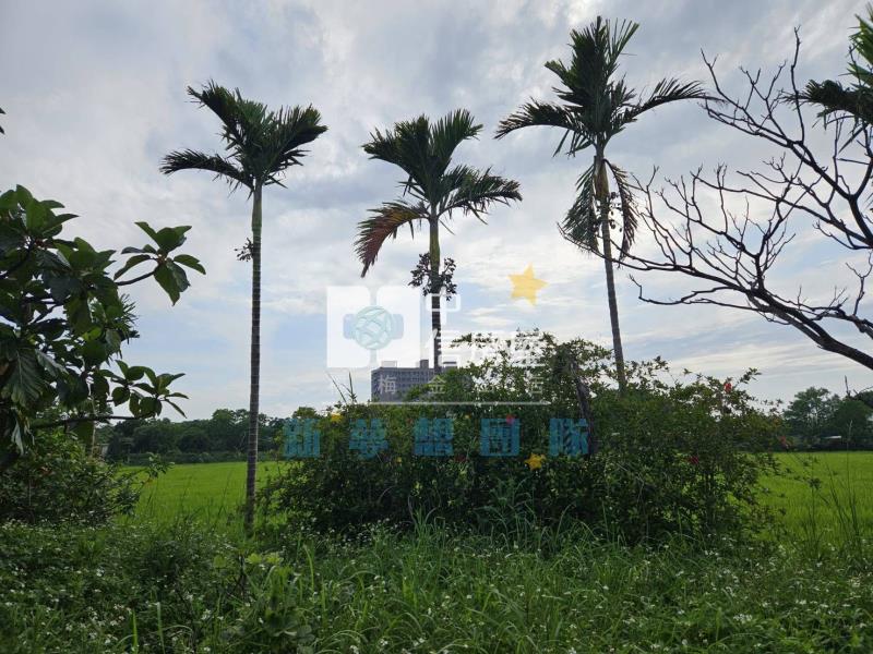 【新夢想】楊梅快速路5段一般農+資材室房屋室內格局與周邊環境