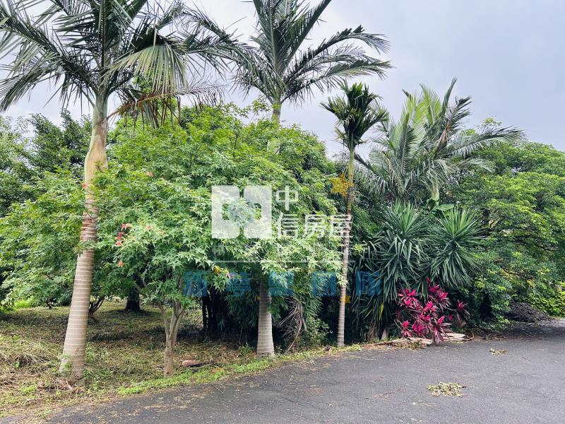 【新夢想】楊梅快速路5段一般農+資材室房屋室內格局與周邊環境