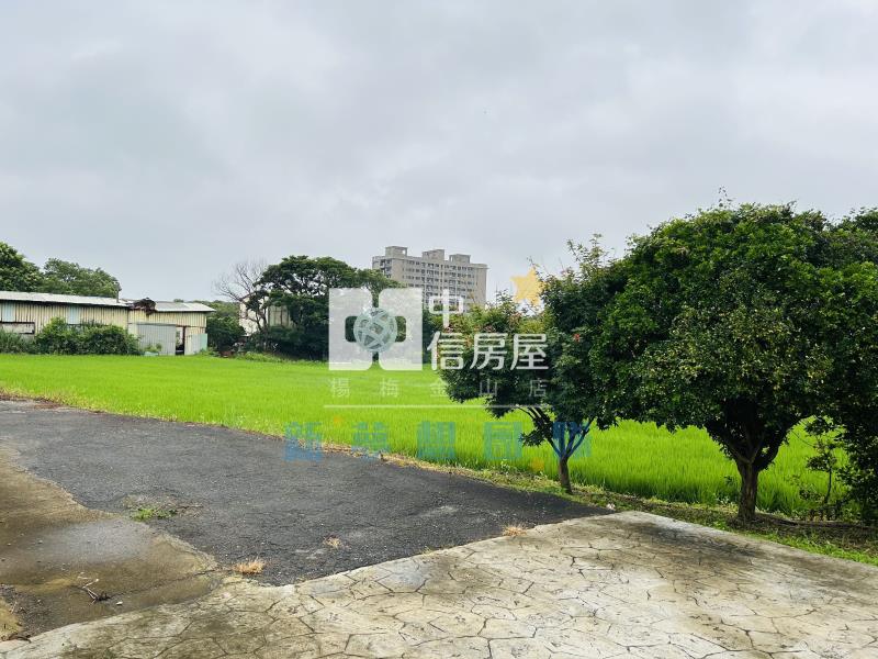 【新夢想】楊梅快速路5段一般農+資材室房屋室內格局與周邊環境