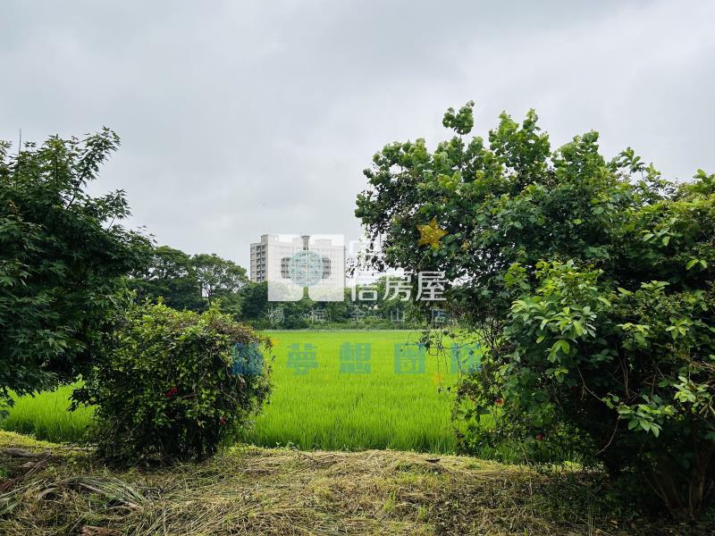 【新夢想】楊梅快速路5段一般農+資材室房屋室內格局與周邊環境