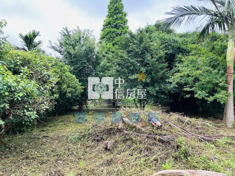 【新夢想】楊梅快速路5段一般農+資材室房屋室內格局與周邊環境