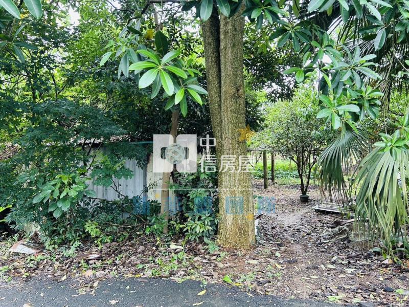 【新夢想】楊梅快速路5段一般農+資材室房屋室內格局與周邊環境