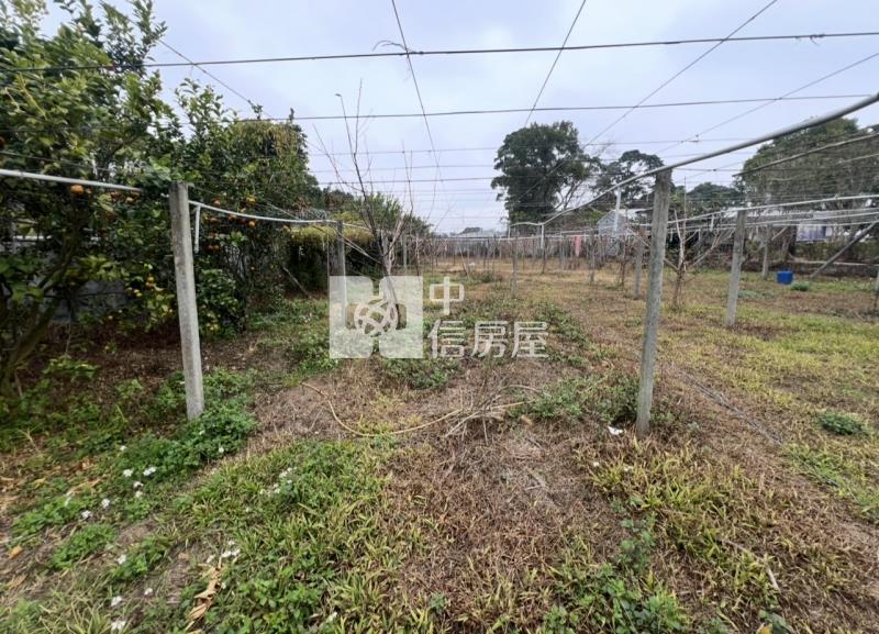 新社復盛段平坦農地（專任）房屋室內格局與周邊環境