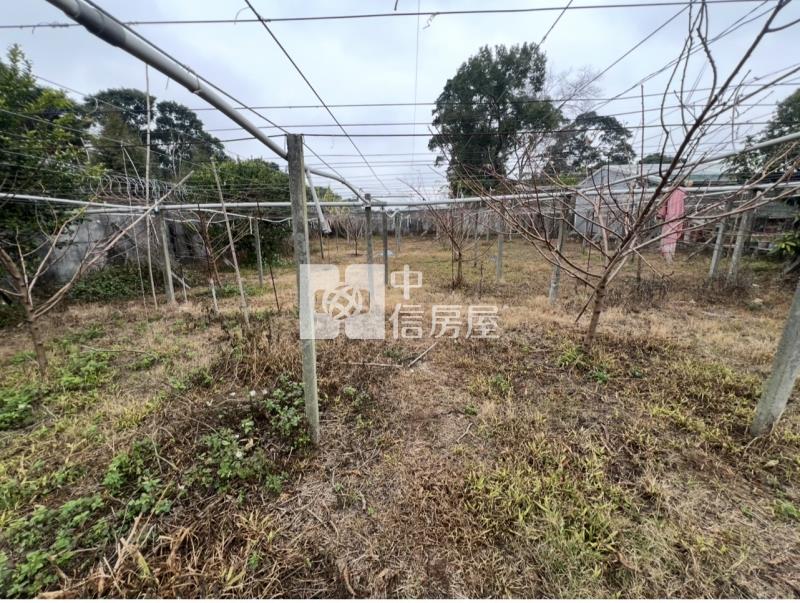 新社復盛段平坦農地（專任）房屋室內格局與周邊環境