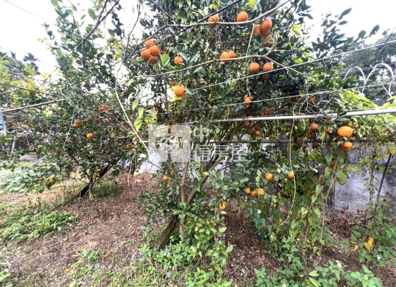 新社復盛段平坦農地（專任）房屋室內格局與周邊環境