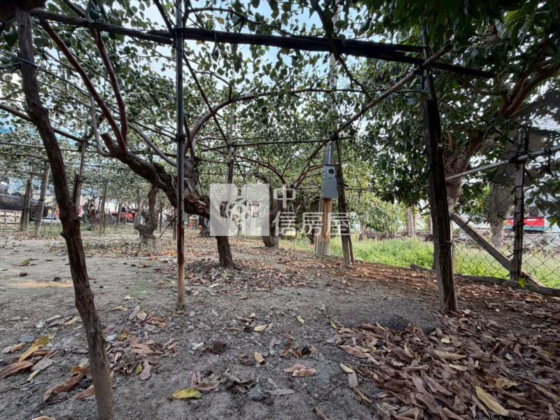 燕巢安北路建地房屋室內格局與周邊環境