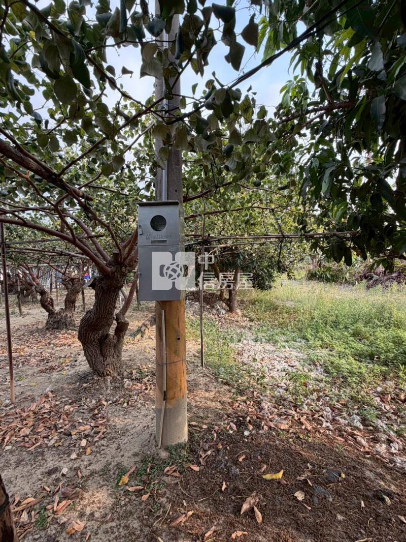 燕巢安北路建地房屋室內格局與周邊環境