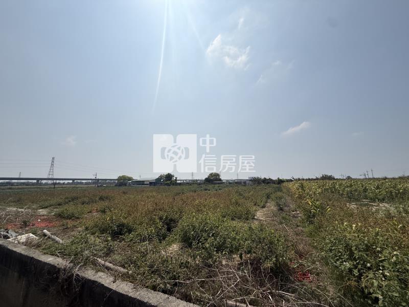 大洲鄰樹谷大道2.6分一般農地房屋室內格局與周邊環境