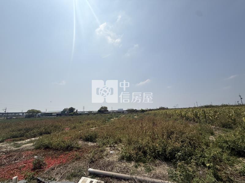 大洲鄰樹谷大道2.6分一般農地房屋室內格局與周邊環境