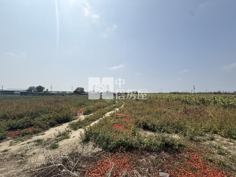 大洲鄰樹谷大道2.6分一般農地房屋室內格局與周邊環境