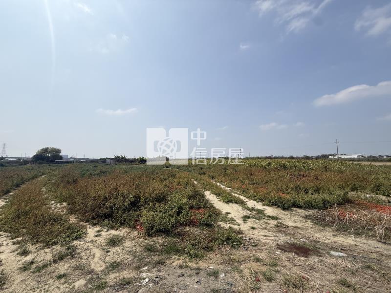 大洲鄰樹谷大道2.6分一般農地房屋室內格局與周邊環境