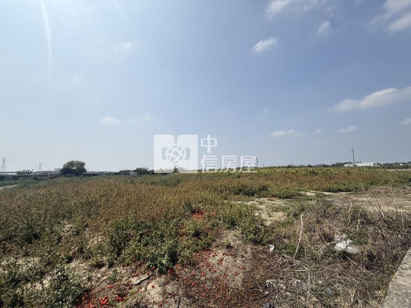 大洲鄰樹谷大道2.6分一般農地房屋室內格局與周邊環境