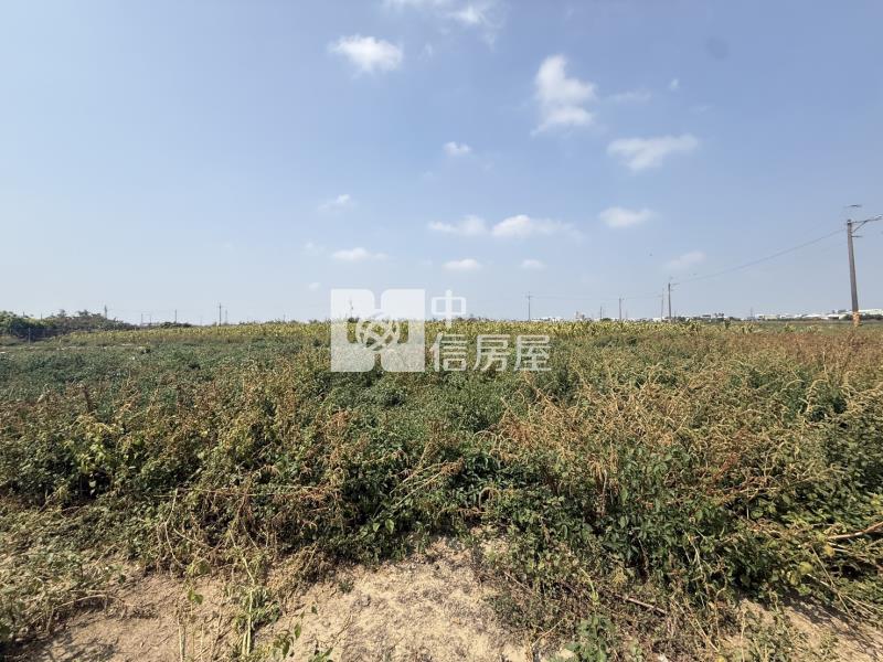 大洲鄰樹谷大道2.6分一般農地房屋室內格局與周邊環境