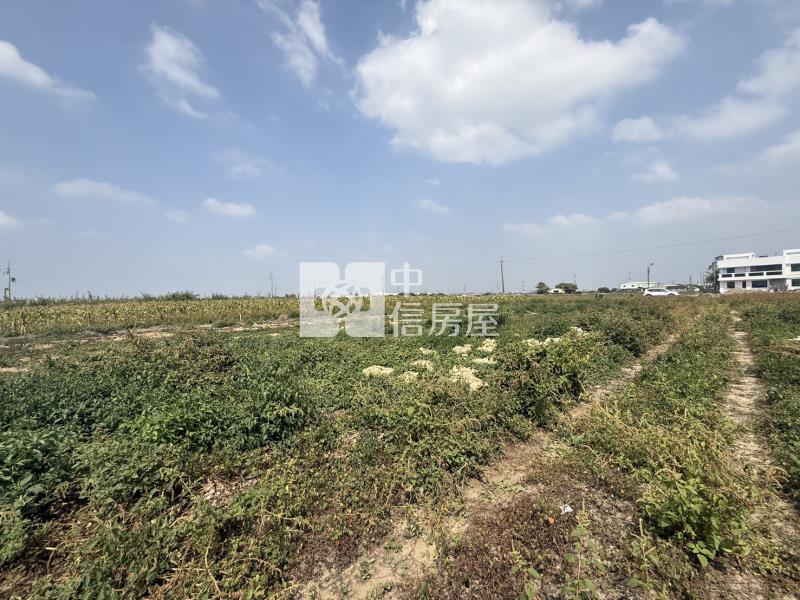 大洲鄰樹谷大道2.6分一般農地房屋室內格局與周邊環境