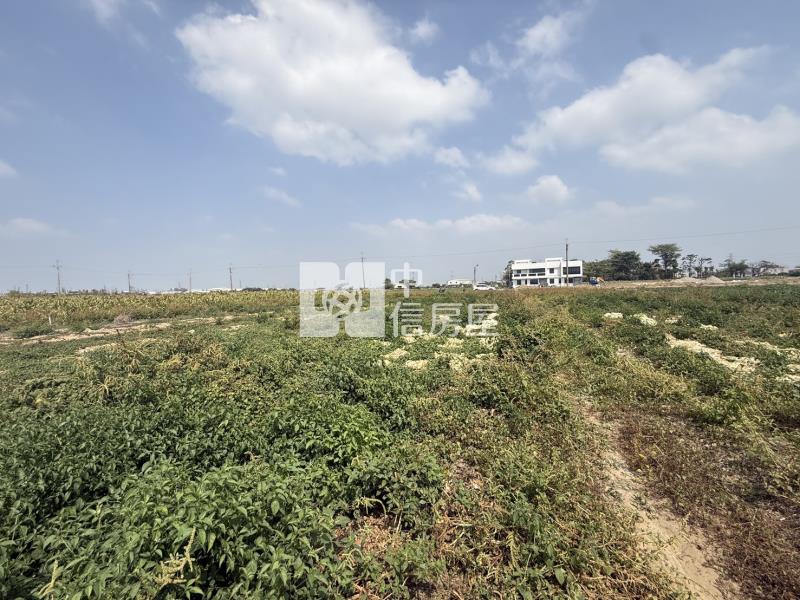 大洲鄰樹谷大道2.6分一般農地房屋室內格局與周邊環境