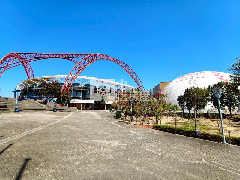 洲際巨蛋漢神10米面寬獨棟電梯別墅(專)房屋室內格局與周邊環境