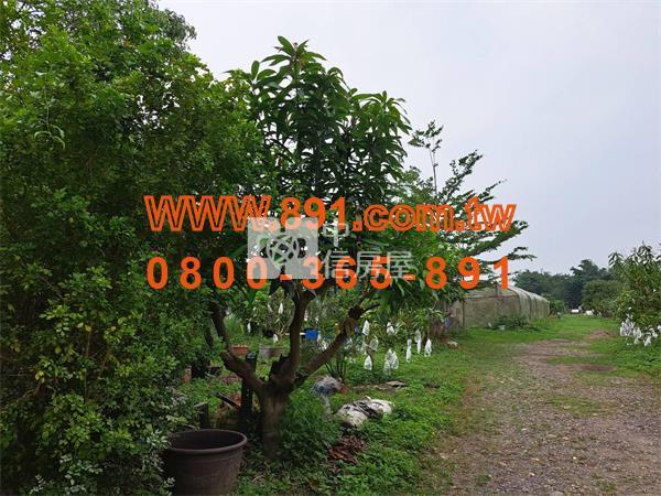 大林一般農業區休閒農舍-981嘉義房地產房屋室內格局與周邊環境