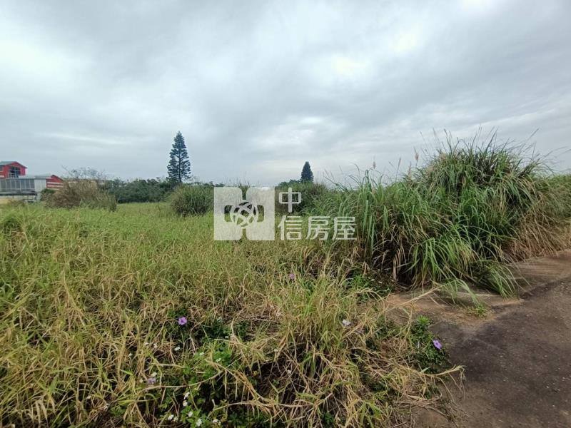 (專)中壢區山坪路農地房屋室內格局與周邊環境