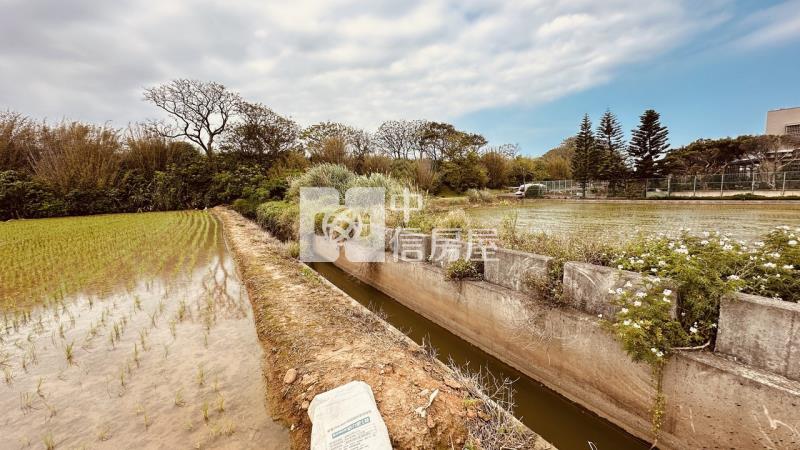 專委-觀音大面寬方正農地房屋室內格局與周邊環境