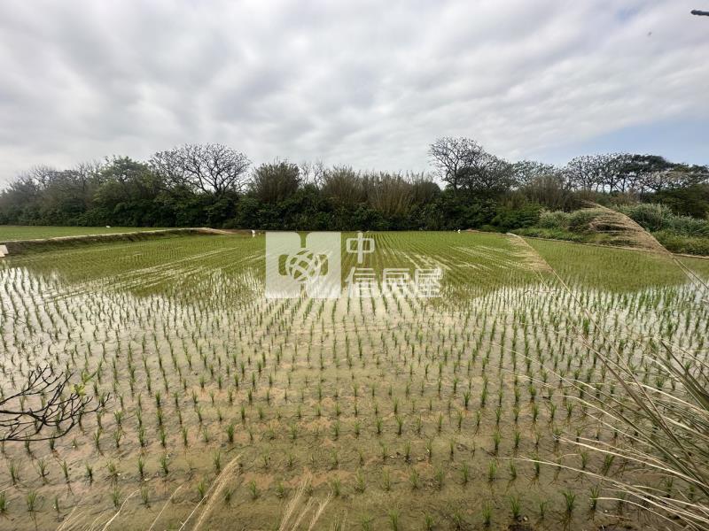 專委-觀音大面寬方正農地房屋室內格局與周邊環境