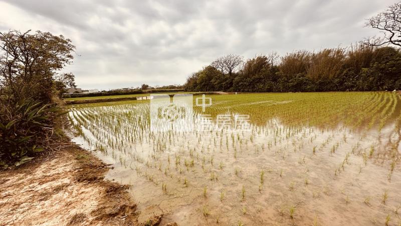 專委-觀音大面寬方正農地房屋室內格局與周邊環境