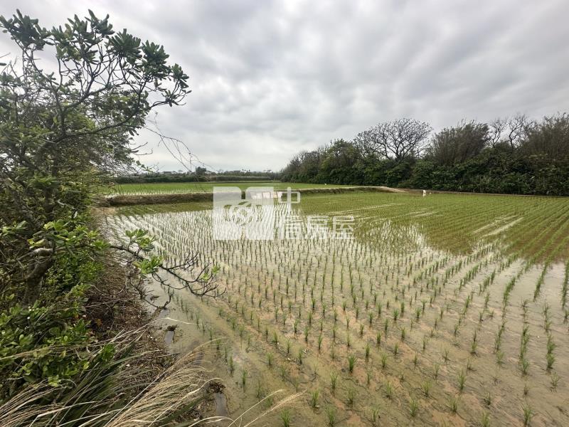 專委-觀音大面寬方正農地房屋室內格局與周邊環境