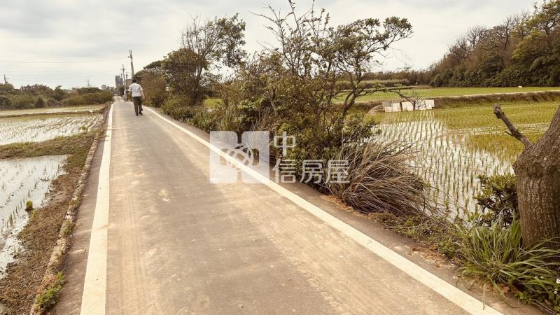 專委-觀音大面寬方正農地房屋室內格局與周邊環境