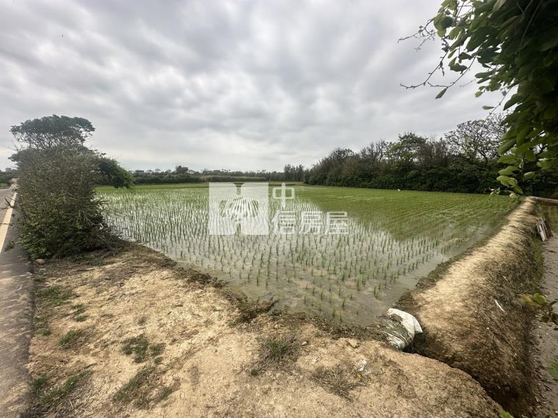 專委-觀音大面寬方正農地房屋室內格局與周邊環境