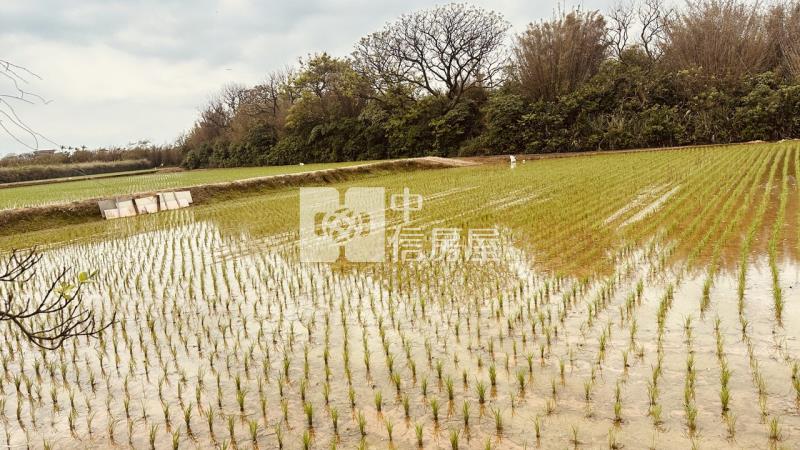 專委-觀音大面寬方正農地房屋室內格局與周邊環境
