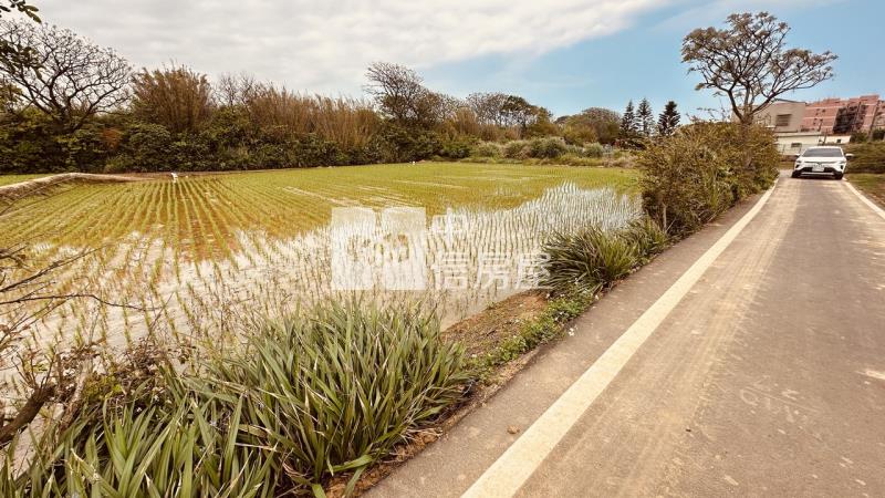 專委-觀音大面寬方正農地房屋室內格局與周邊環境
