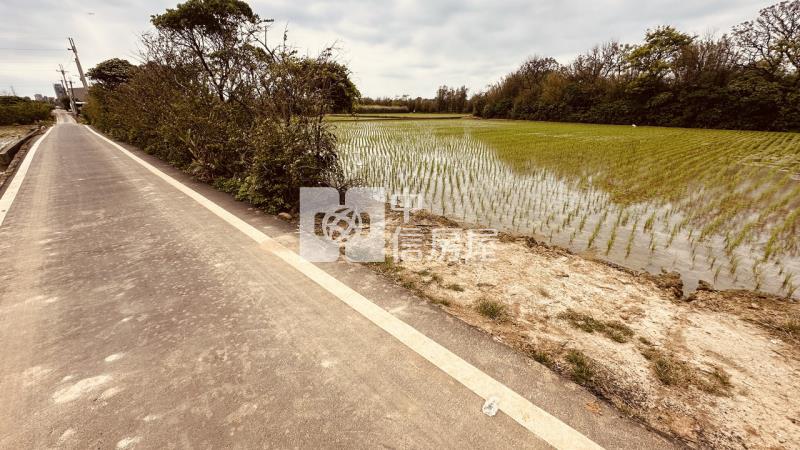 專委-觀音大面寬方正農地房屋室內格局與周邊環境