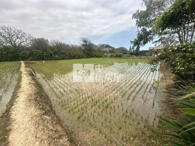 專委-觀音大面寬方正農地房屋室內格局與周邊環境