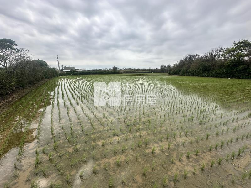 專委-觀音大面寬方正農地房屋室內格局與周邊環境
