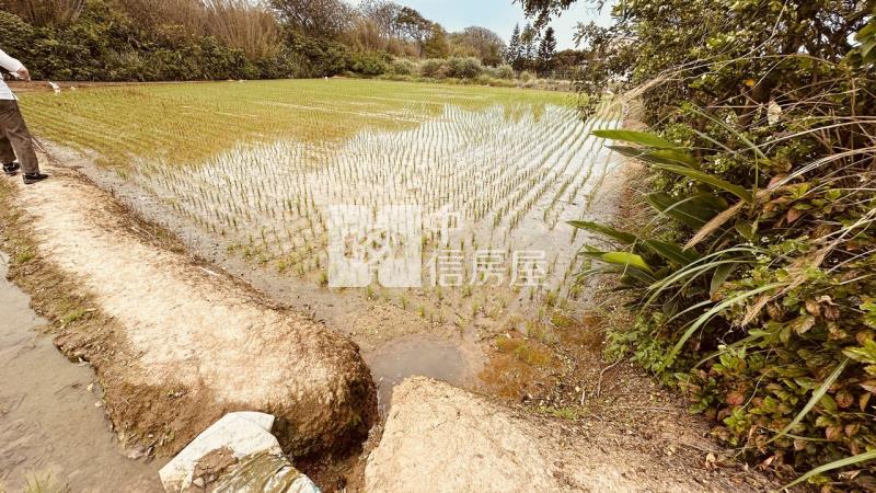 專委-觀音大面寬方正農地房屋室內格局與周邊環境