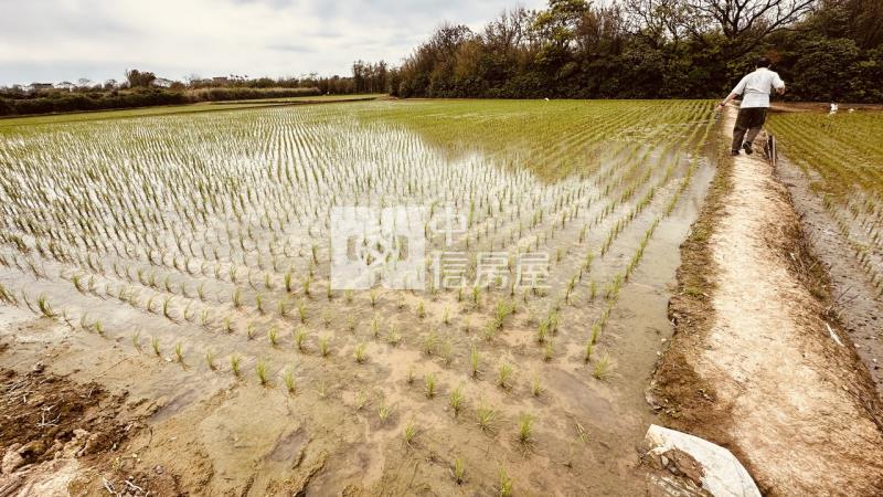 專委-觀音大面寬方正農地房屋室內格局與周邊環境