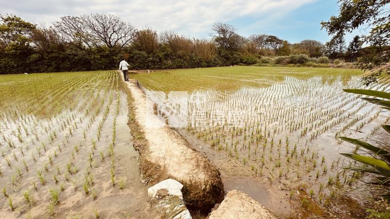 專委-觀音大面寬方正農地房屋室內格局與周邊環境
