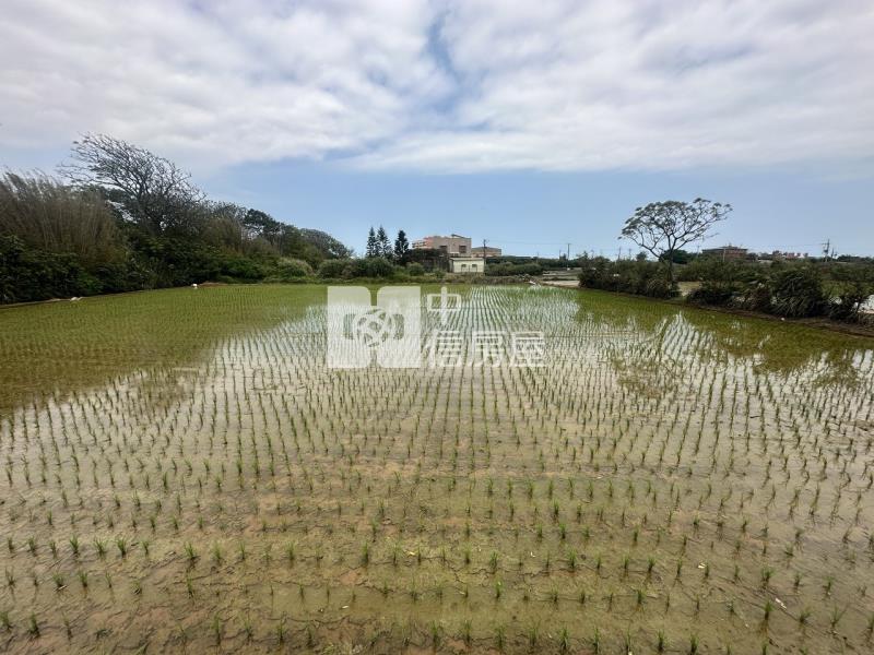 專委-觀音大面寬方正農地房屋室內格局與周邊環境