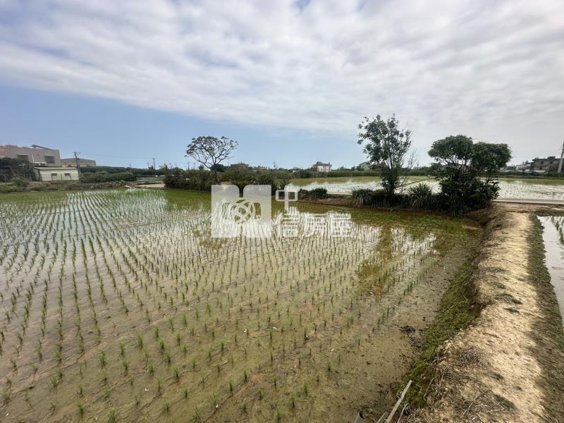 專委-觀音大面寬方正農地房屋室內格局與周邊環境