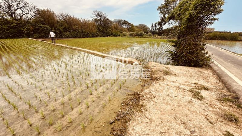 專委-觀音大面寬方正農地房屋室內格局與周邊環境