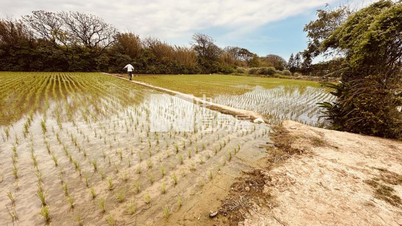 專委-觀音大面寬方正農地房屋室內格局與周邊環境