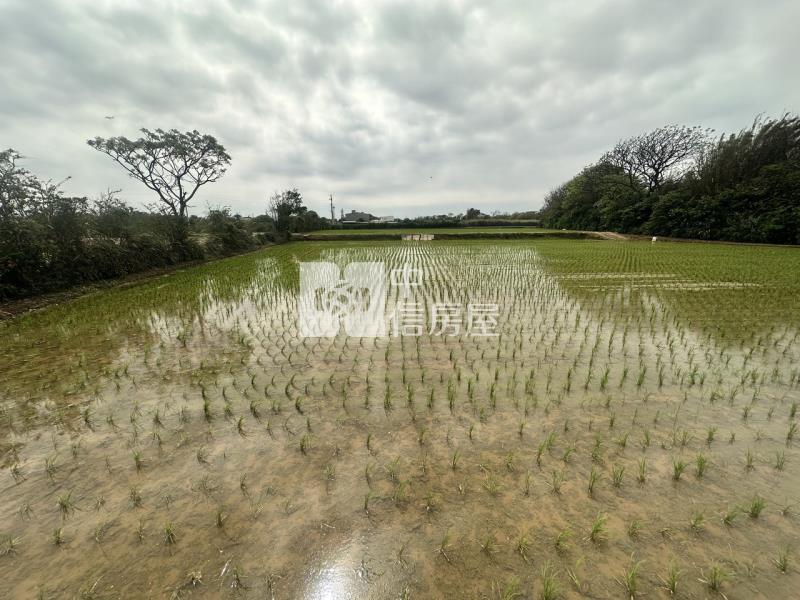 專委-觀音大面寬方正農地房屋室內格局與周邊環境