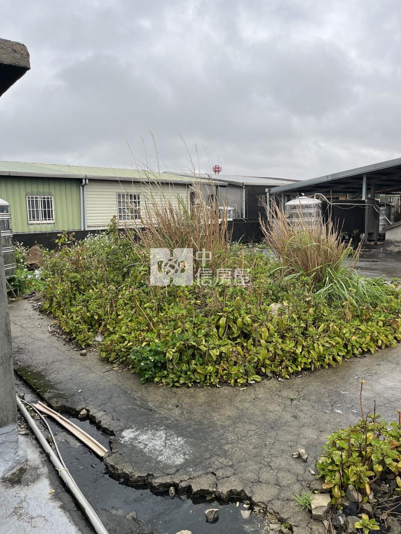 八德介壽路低總價公寓房屋室內格局與周邊環境