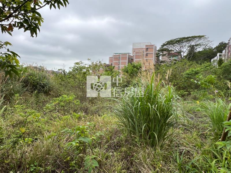 【專任】新竹近市區百坪美建地房屋室內格局與周邊環境