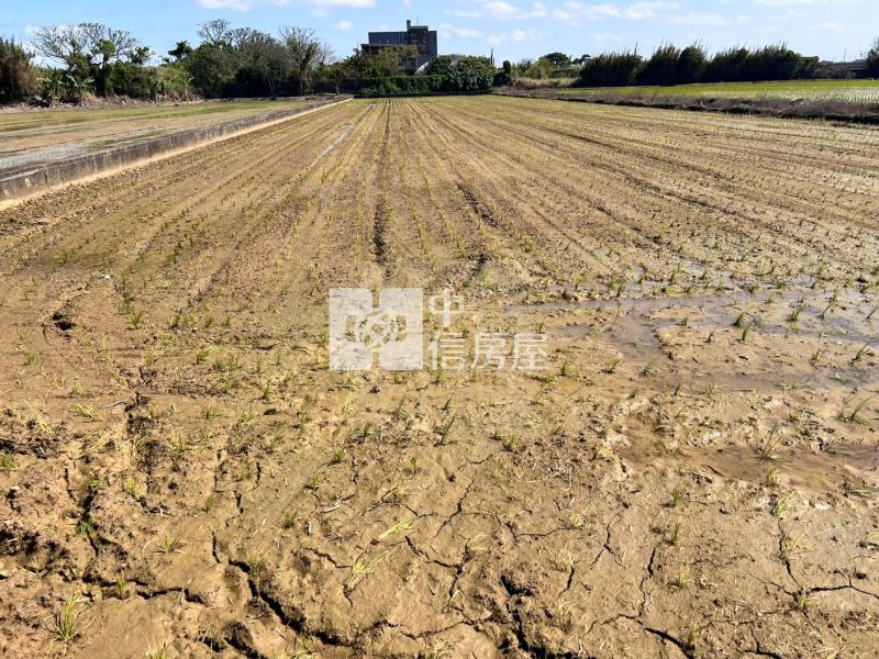【玖禾】新屋大坡便宜超值美農地合法資材室房屋室內格局與周邊環境
