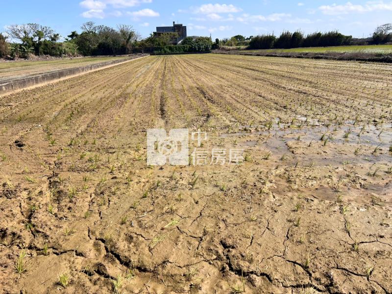 【玖禾】新屋大坡便宜超值美農地合法資材室房屋室內格局與周邊環境