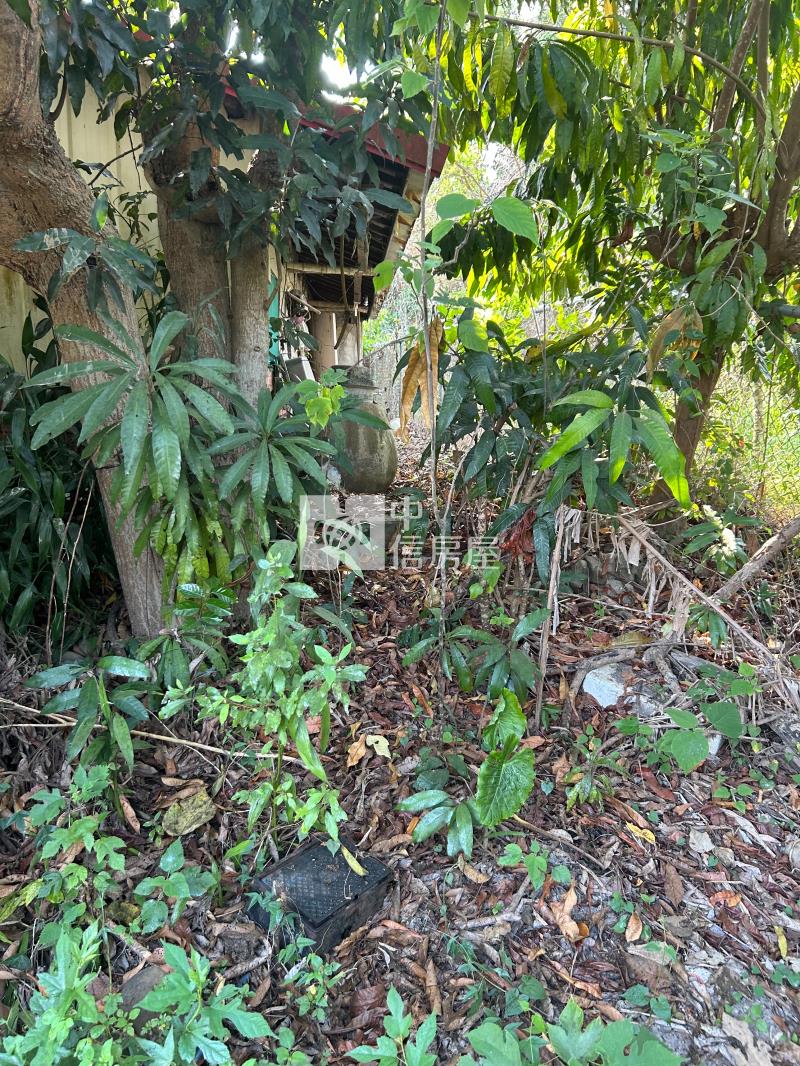 大內高球場旁方正低價建地房屋室內格局與周邊環境