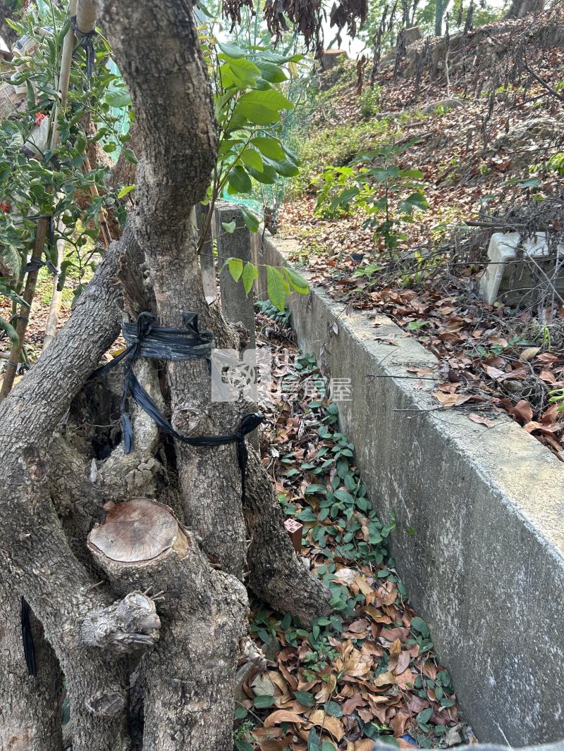 大內高球場旁方正低價建地房屋室內格局與周邊環境