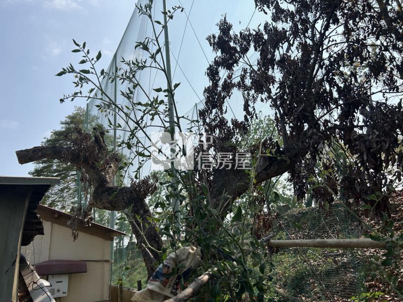 大內高球場旁方正低價建地房屋室內格局與周邊環境